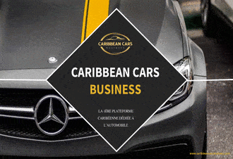 pitch Caribbean Cars Business